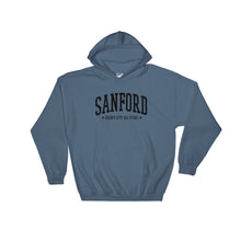 Celery City All Stars Hooded Sweatshirt