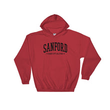 Celery City All Stars Hooded Sweatshirt